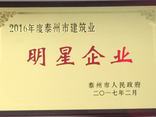2016年度泰州市建筑業明星企業